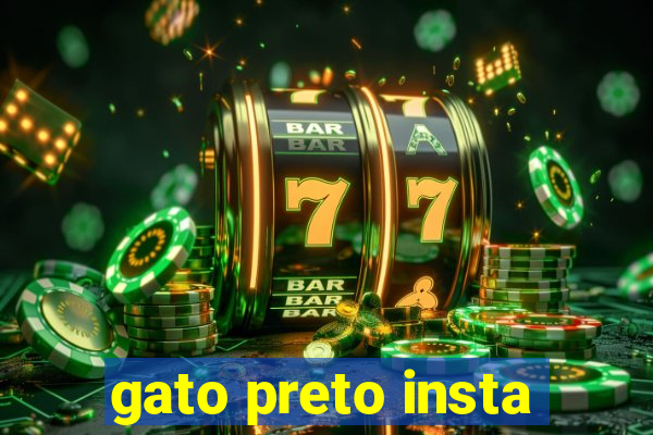 gato preto insta